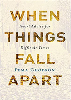 When Things Fall Apart Book